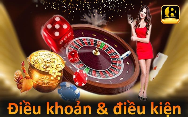 Điều khoản và điều kiện 888B