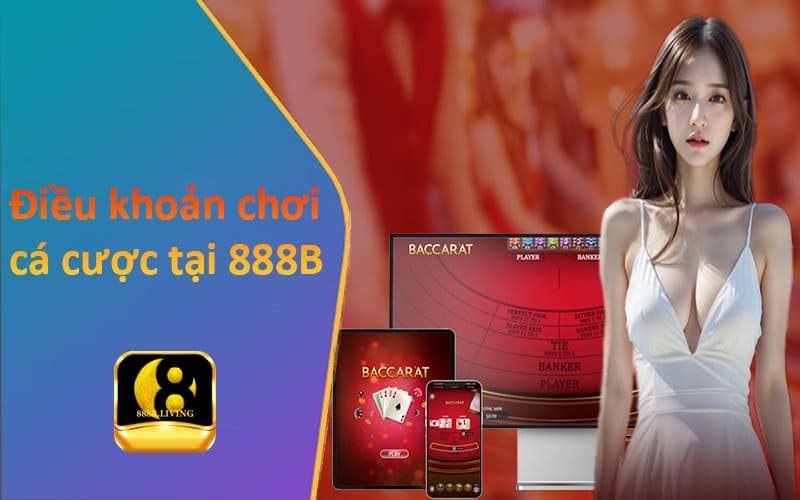điều kiện trong đăng ký thành viên 888B